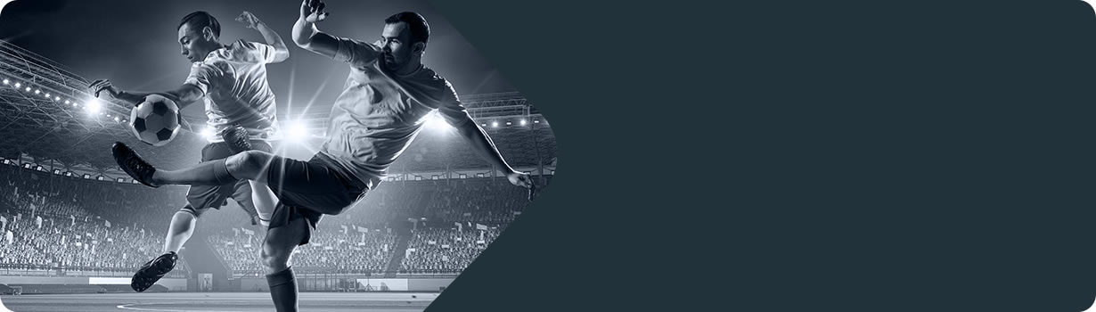 sudoku blank grid printable
